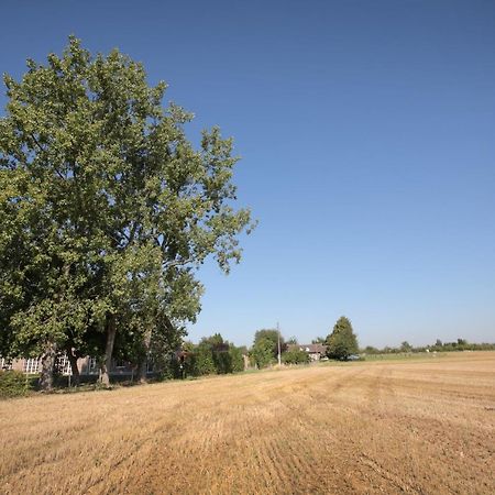 B&B Het Rooj Holsbeek Dış mekan fotoğraf